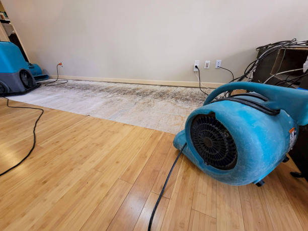 Professional Sewage Cleanup technician working in Patten, ME